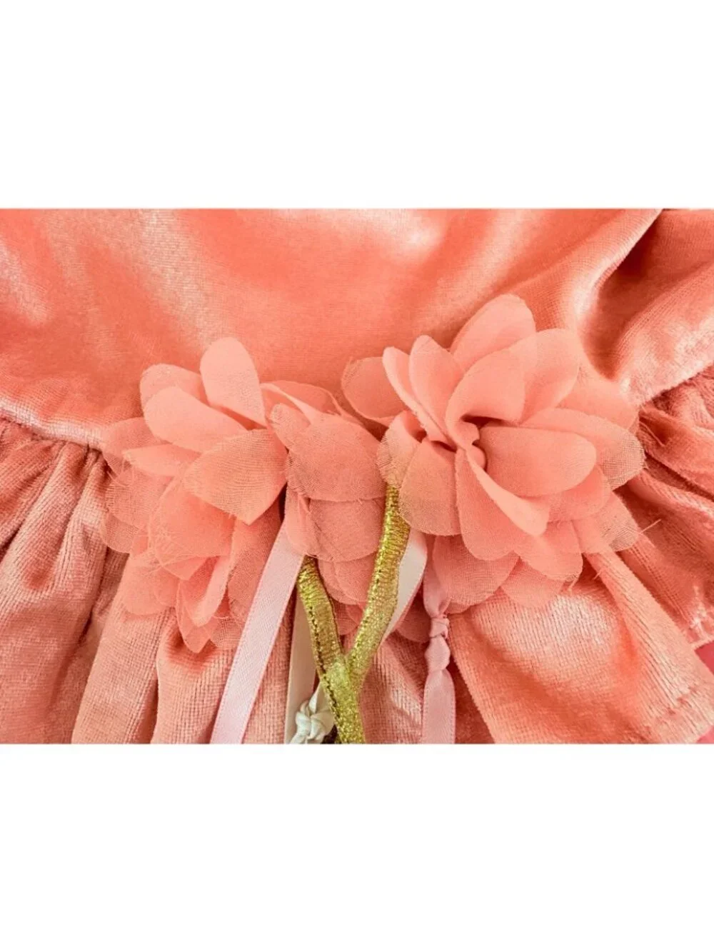 Little Adventures Girls M 3 5 Rose Garden Fairy Dress Dress Up Costume